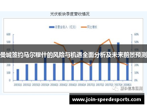 曼城签约马尔穆什的风险与机遇全面分析及未来前景预测
