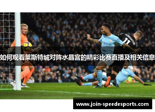 如何观看莱斯特城对阵水晶宫的精彩比赛直播及相关信息
