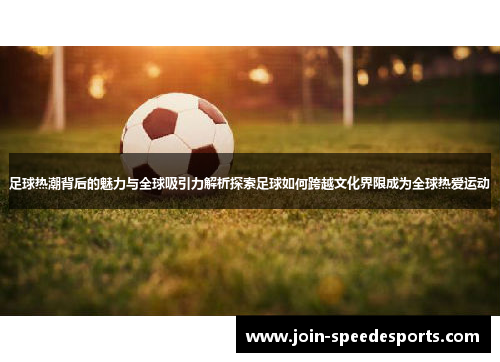足球热潮背后的魅力与全球吸引力解析探索足球如何跨越文化界限成为全球热爱运动