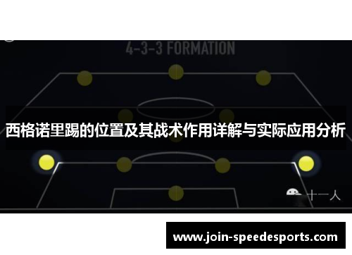 西格诺里踢的位置及其战术作用详解与实际应用分析 西格诺里踢的位置及其战术作用详解与实际应用分析