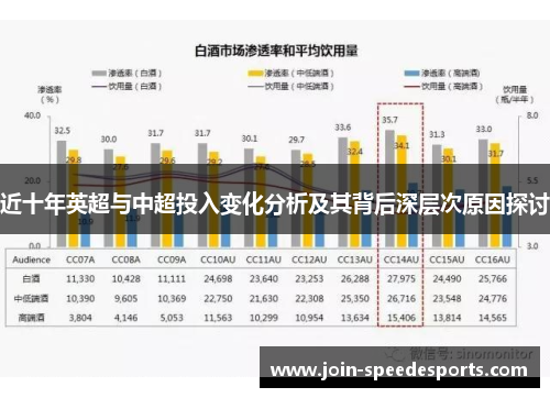 近十年英超与中超投入变化分析及其背后深层次原因探讨